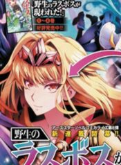 cover_113