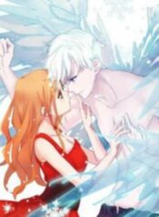 cover_260