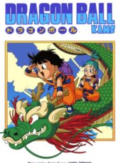 dragon-ball-kame_couverture_2_dave-x