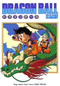 dragon-ball-kame_couverture_2_dave-x