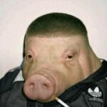Leaugi