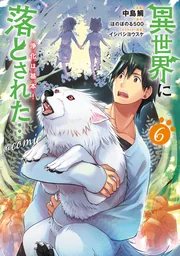 Isekai Ni Otosareta… Jouka Wa Kihon! — couverture HD