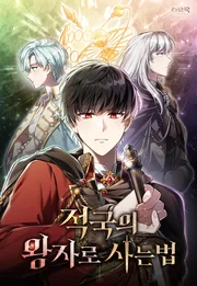 Reborn as the Enemy Prince — couverture HD