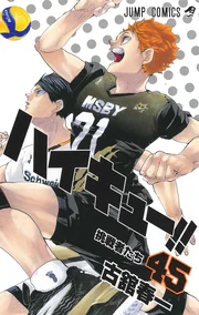 Haikyuu!! — couverture HD