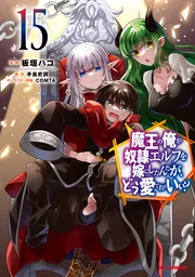 Maou no Ore ga Dorei Elf wo Yome ni Shitanda ga, Dou Medereba Ii? — couverture HD